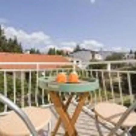 Holiday Mitrovic Rovanjska